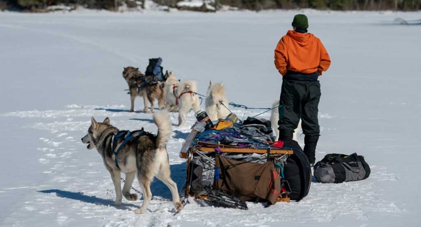 a team of dogs and a musher stand near a tipped over sled while taking a break on a snowy landscape